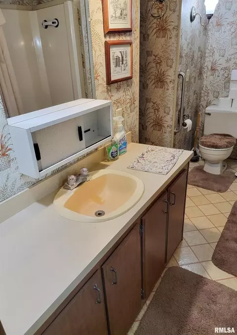 1011 Lamson St, Flora, IL 62839 photo 34