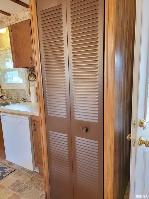 1011 Lamson St, Flora, IL 62839 photo 22