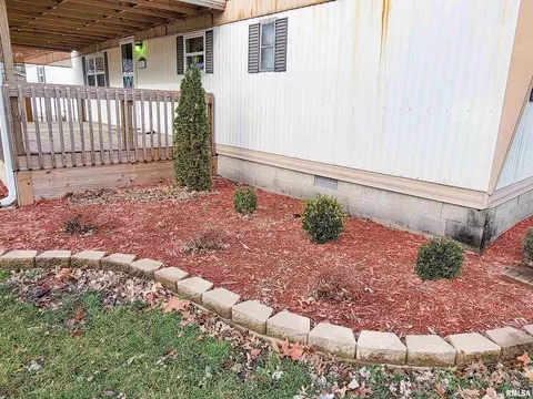 1011 Lamson St, Flora, IL 62839 photo 48