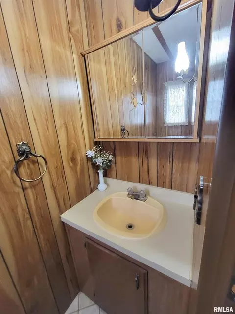 1011 Lamson St, Flora, IL 62839 photo 43