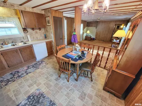 1011 Lamson St, Flora, IL 62839 photo 18