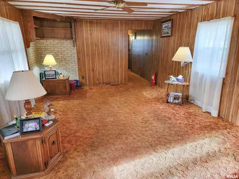 1011 Lamson St, Flora, IL 62839 photo 12