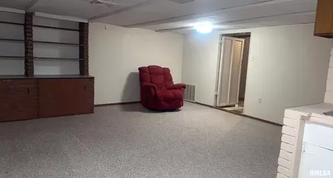 209 W Adelaide Ave, Christopher, IL 62822 photo 19