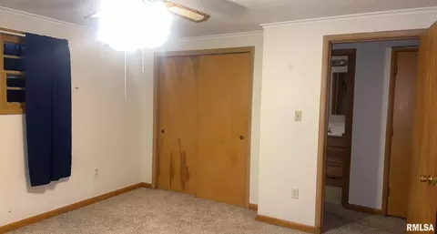 209 W Adelaide Ave, Christopher, IL 62822 photo 29
