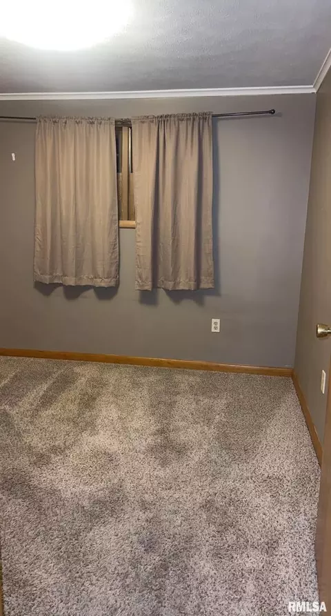 209 W Adelaide Ave, Christopher, IL 62822 photo 36