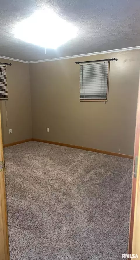 209 W Adelaide Ave, Christopher, IL 62822 photo 33