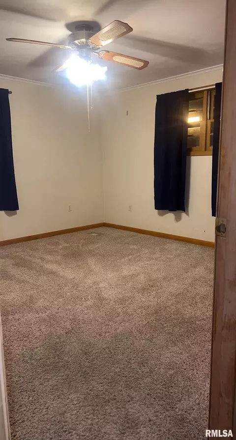 209 W Adelaide Ave, Christopher, IL 62822 photo 30