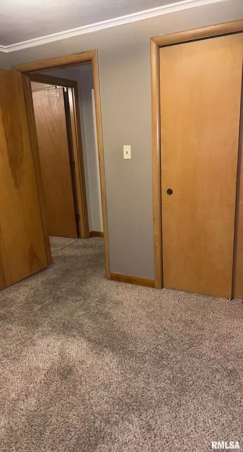 209 W Adelaide Ave, Christopher, IL 62822 photo 34