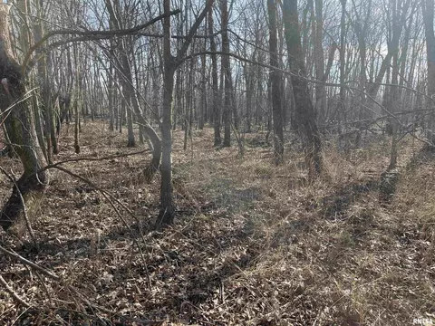 000 2600 E Rd, Fairfield, IL 62837 photo 8