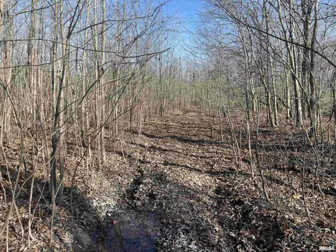 000 2600 E Rd, Fairfield, IL 62837 photo 6