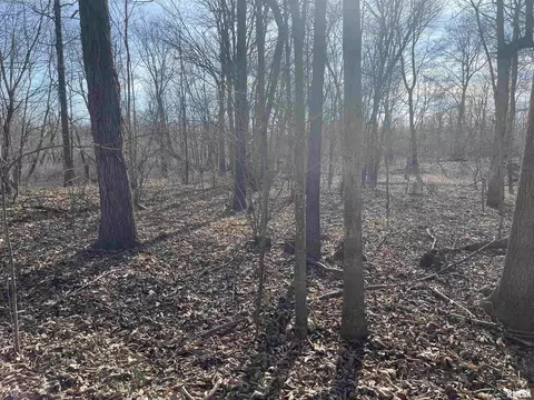 000 2600 E Rd, Fairfield, IL 62837 photo 7