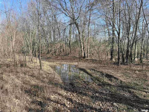 000 2600 E Rd, Fairfield, IL 62837 photo 5