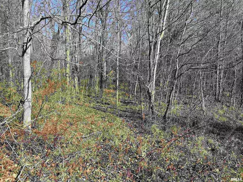 000 2600 E Rd, Fairfield, IL 62837 photo 14