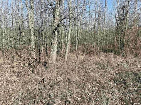 000 2600 E Rd, Fairfield, IL 62837 photo 3
