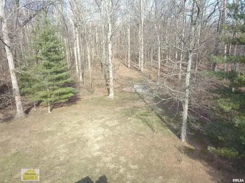 4331 Brown Ln, Salem, IL 62881 photo 54