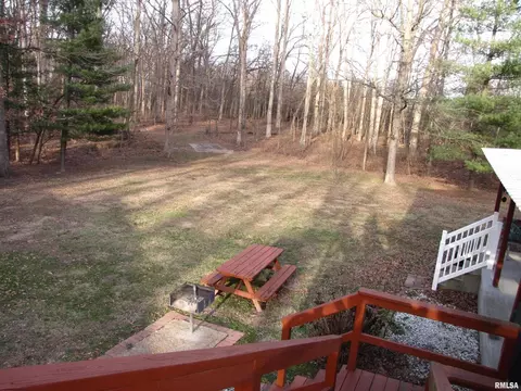 4331 Brown Ln, Salem, IL 62881 photo 36