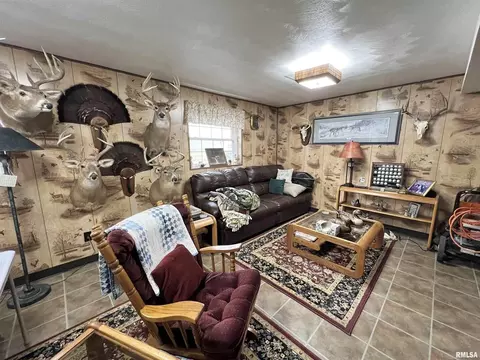 4331 Brown Ln, Salem, IL 62881 photo 21