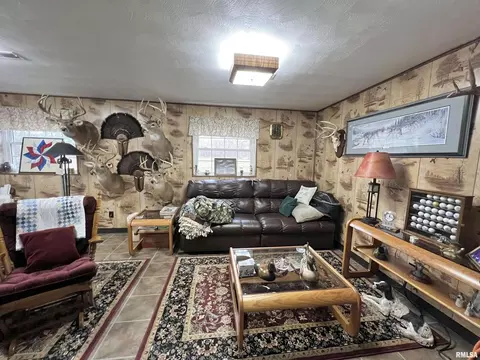 4331 Brown Ln, Salem, IL 62881 photo 22