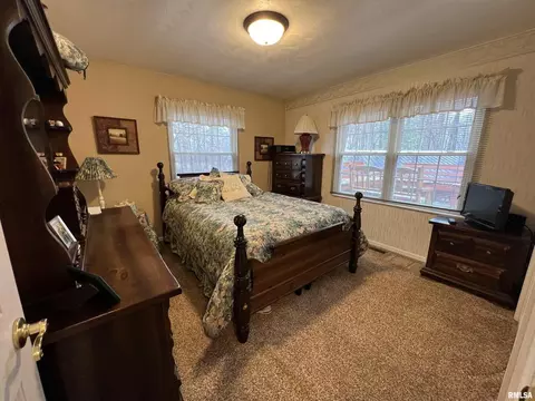 4331 Brown Ln, Salem, IL 62881 photo 24