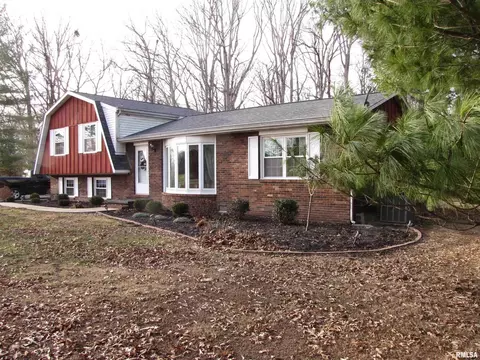 4331 Brown Ln, Salem, IL 62881 photo 1