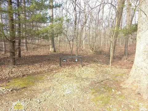 4331 Brown Ln, Salem, IL 62881 photo 59