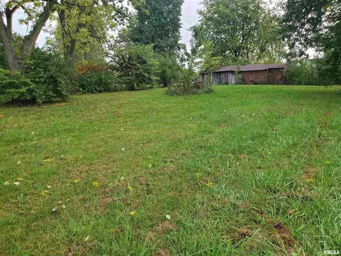 207 S 2nd St, Dahlgren, IL 62828 photo 3