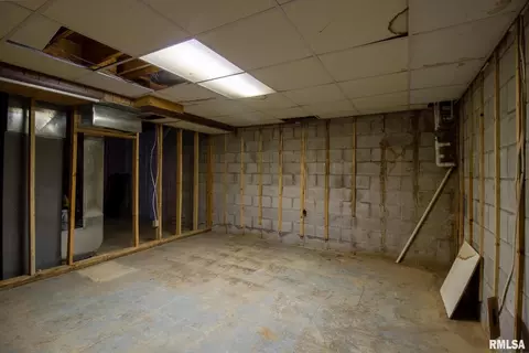719 S Harrington St, Orient, IL 62874 photo 39