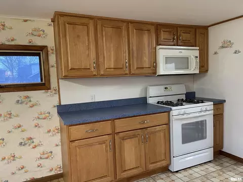2140 Pine St, Murphysboro, IL 62966 photo 9