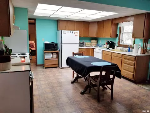 3158 E Freeman Rd, Scheller, IL 62883 photo 10