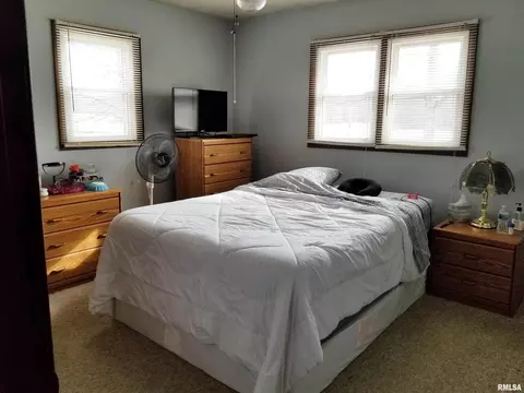 3158 E Freeman Rd, Scheller, IL 62883 photo 20