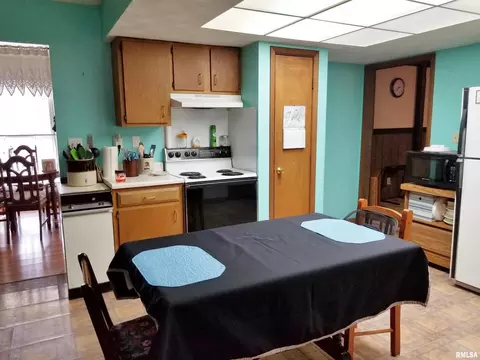 3158 E Freeman Rd, Scheller, IL 62883 photo 13