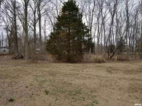 3158 E Freeman Rd, Scheller, IL 62883 photo 49