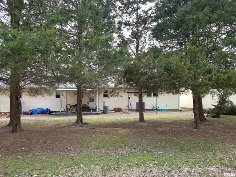 3158 E Freeman Rd, Scheller, IL 62883 photo 34