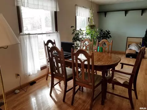 3158 E Freeman Rd, Scheller, IL 62883 photo 6