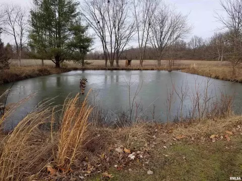 3158 E Freeman Rd, Scheller, IL 62883 photo 39
