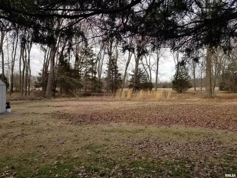 3158 E Freeman Rd, Scheller, IL 62883 photo 31