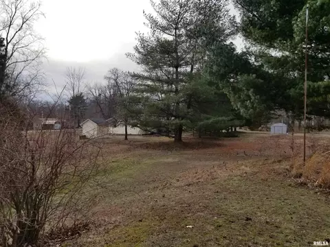 3158 E Freeman Rd, Scheller, IL 62883 photo 46
