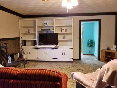 3158 E Freeman Rd, Scheller, IL 62883 photo 16