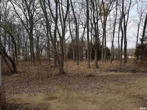 3158 E Freeman Rd, Scheller, IL 62883 photo 35