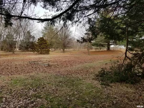 3158 E Freeman Rd, Scheller, IL 62883 photo 32