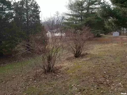 3158 E Freeman Rd, Scheller, IL 62883 photo 44