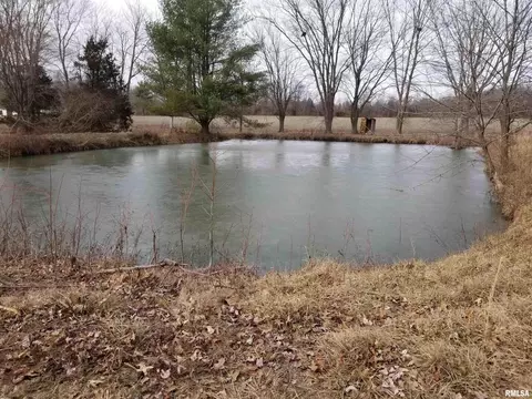3158 E Freeman Rd, Scheller, IL 62883 photo 40