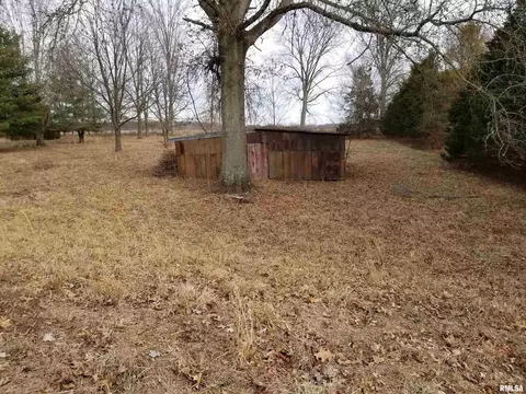 3158 E Freeman Rd, Scheller, IL 62883 photo 41