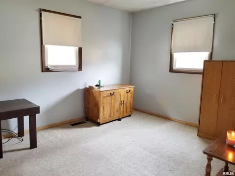 3158 E Freeman Rd, Scheller, IL 62883 photo 22