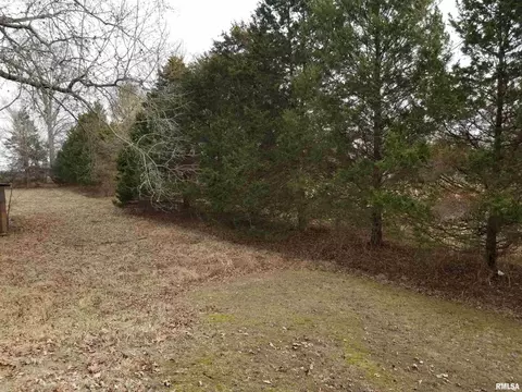 3158 E Freeman Rd, Scheller, IL 62883 photo 43