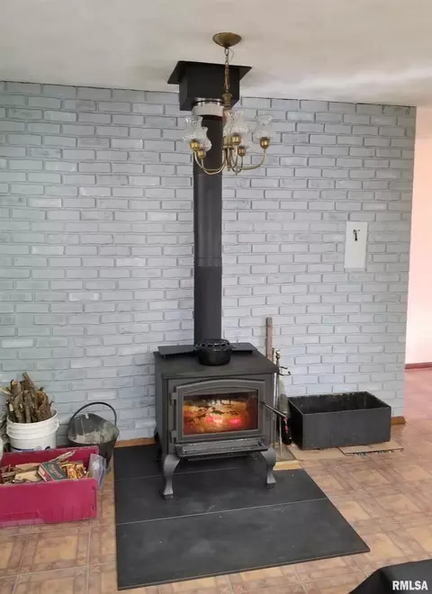 3158 E Freeman Rd, Scheller, IL 62883 photo 9