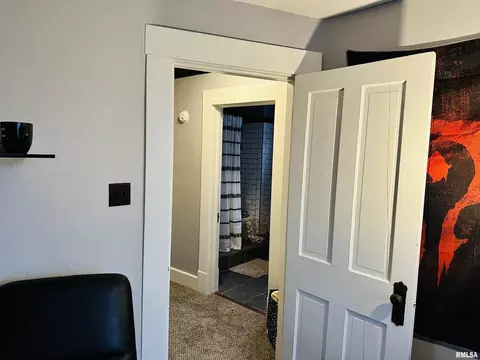 309 E Vienna St, Anna, IL 62906 photo 33