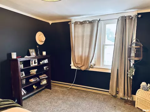 309 E Vienna St, Anna, IL 62906 photo 28