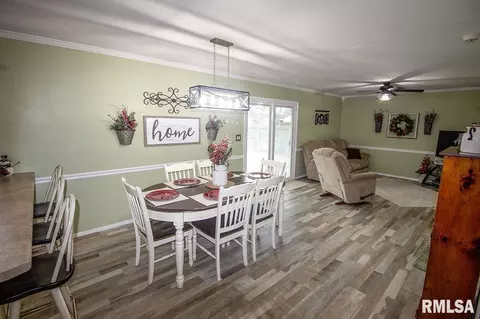 605 Sara Dr, Centralia, IL 62801 photo 11