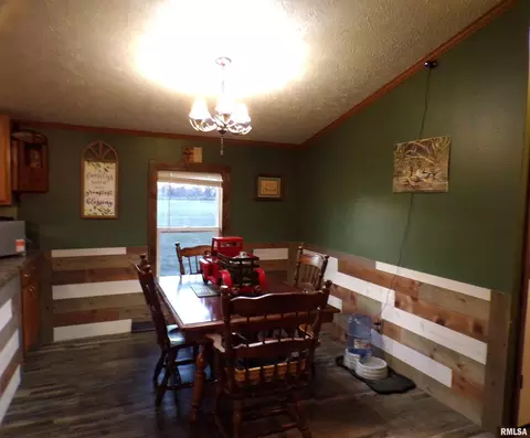 515 S Semi St, Sandoval, IL 62882 photo 6